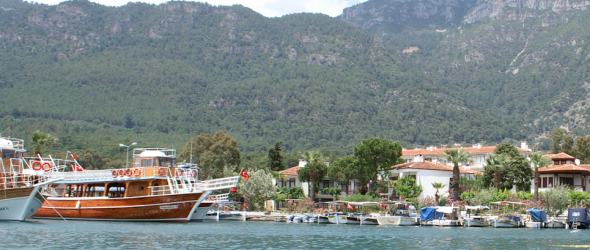 Boat Tours